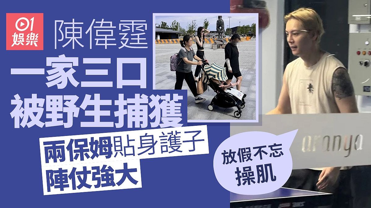 陈伟霆一家三口度假被偶遇!两保姆随行,贴身护子阵仗大(组图) - 1