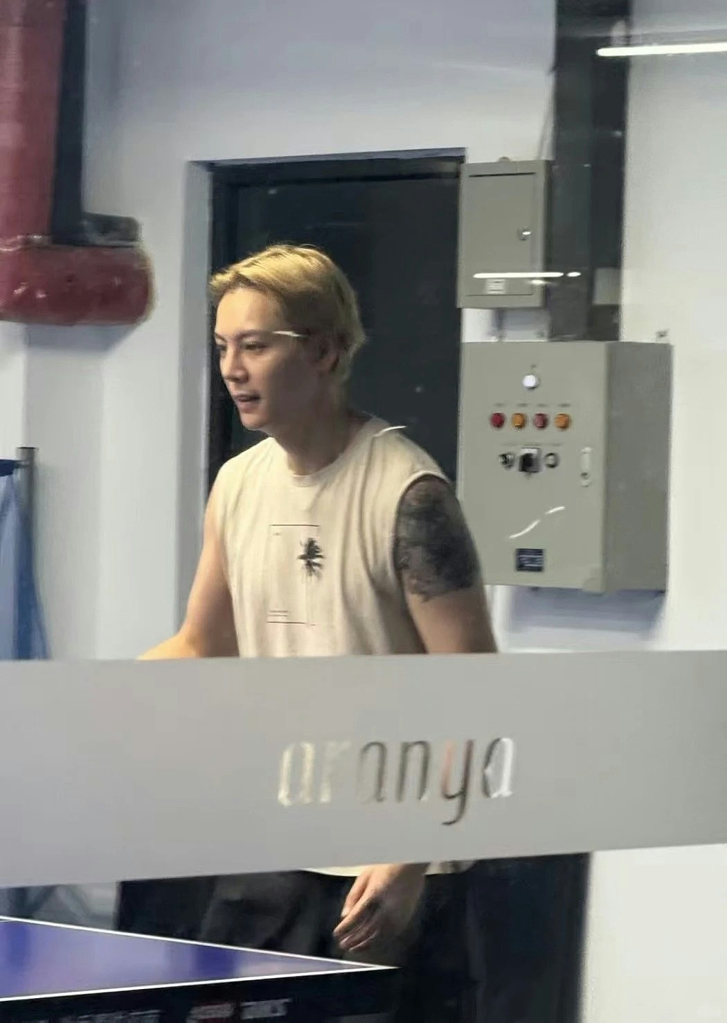 陈伟霆一家三口度假被偶遇！两保姆随行，贴身护子阵仗大（组图） - 6