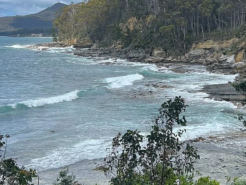 澳洲又双叒发生鲨鱼袭人事件!潜水员遭2米长鲨鱼咬伤,直升机紧急出动(组图) - 1
