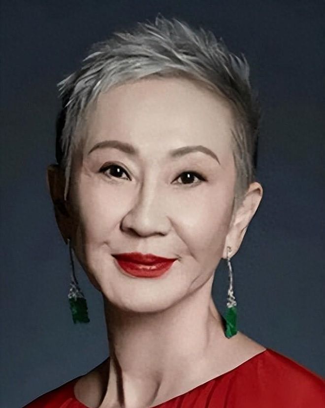 向太曝施南生最后时光:指头脚趾烂了,昏迷插管,痛不痛无人知晓(组图) - 1