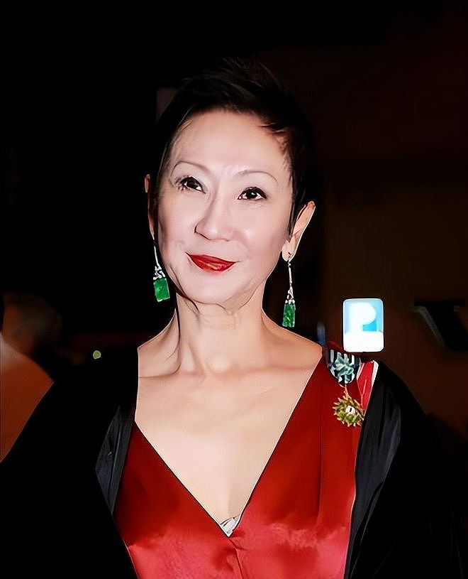 向太曝施南生最后时光:指头脚趾烂了,昏迷插管,痛不痛无人知晓(组图) - 5