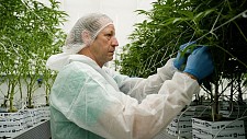 你还在买房买股票？超1.1万澳洲人掏钱投资创业公司，西澳去年吸金近$800万！（组图）