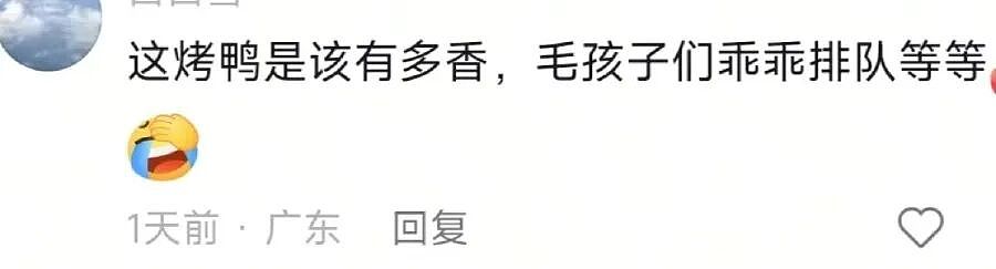 河南烤鸭店每天第一波客人竟是汪汪队!5只小狗街头自觉排队等投喂 - 3