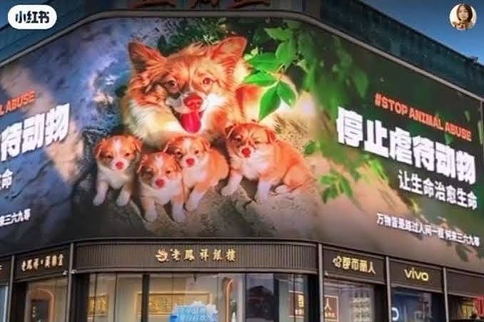 4童虐狗案风波发酵,网友掀抵制揭阳旅游、商品 - 1