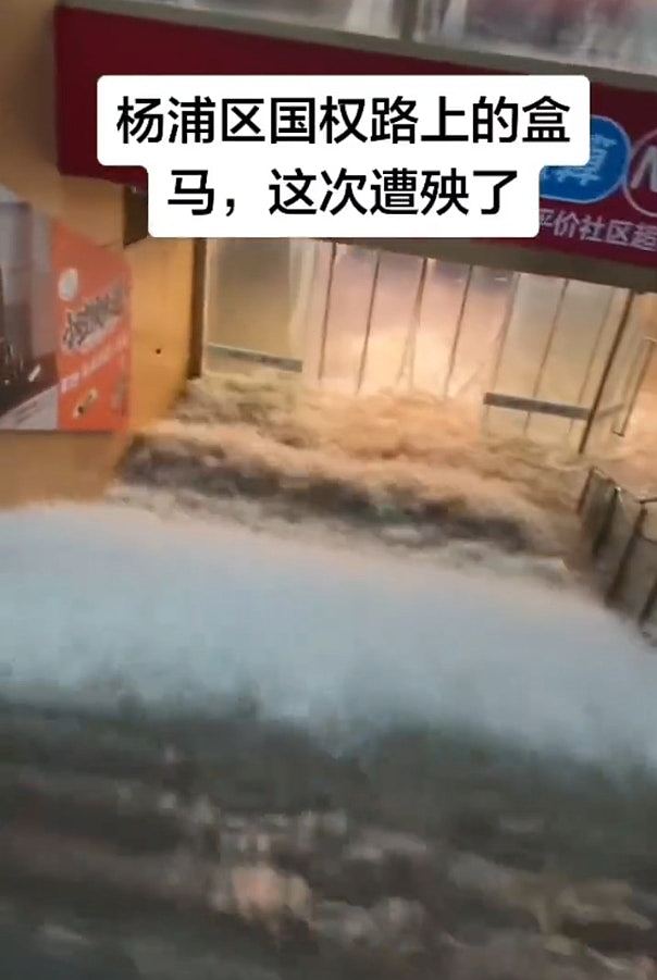 上海遭遇百年一遇特大暴雨!市区成“威尼斯”,民众划浆板出行(组图) - 10