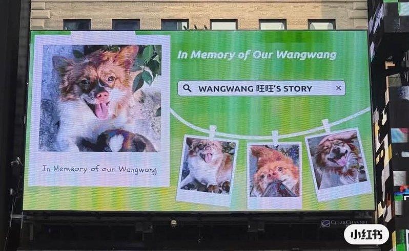 揭阳4少虐杀流浪犬，纽约时代广场、台北101现声讨广告（组图） - 2