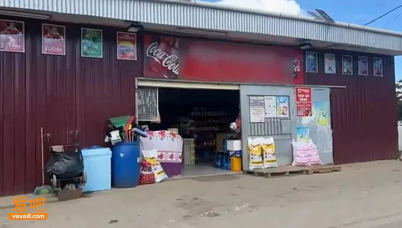 “嫁到中国过好日子!”新西兰媒体震撼披露:“每天干活”、“被逼生娃”、“不想活了”(组图) - 11
