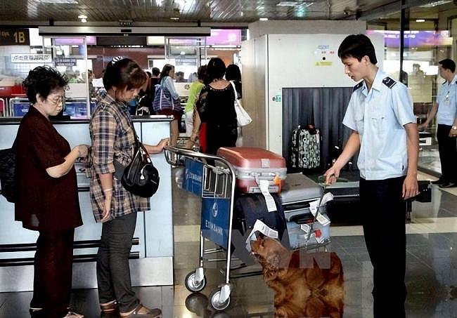 碰见中国人就打?这个国家有多讨厌中国人(组图) - 9