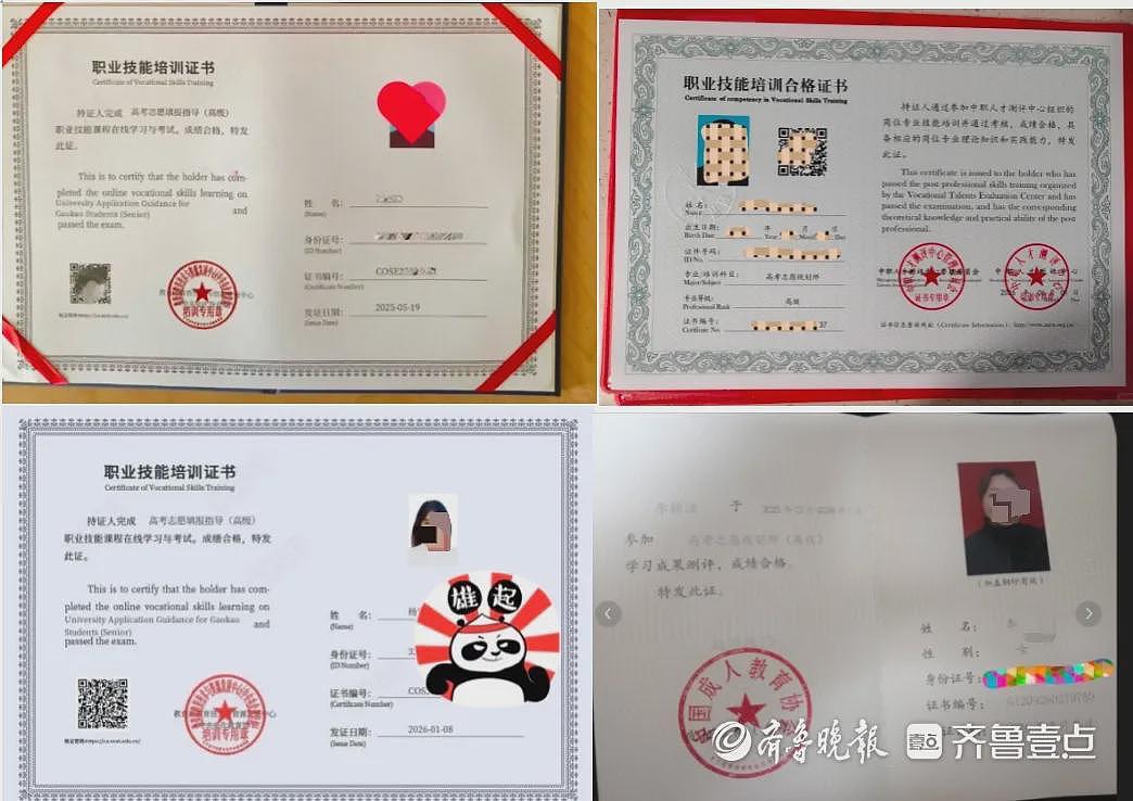 542分险被40个民办大专“保底”,谁在“规划”高考生的人生?一夜间涌出很多的高报师,业内人士:卖菜卖保险的都来干了 - 3