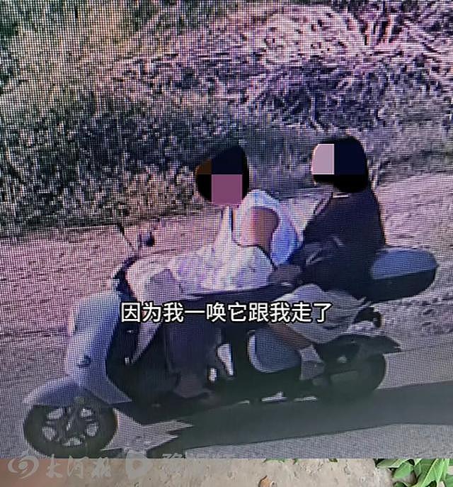 网红狗“锄头”被盗宰杀,警方核定估价2300元,主人再发声:两名嫌疑人被取保候审,后续会提起民事诉讼,主张饲养成本和精神损害赔偿 - 2