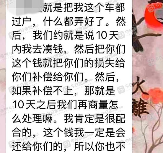 “把我的尸体埋进去!“澳洲华女换汇踩坑,“引蛇出洞“反被控重罪!大圈帮持枪绑人?“他们真的会杀了我”(组图) - 3