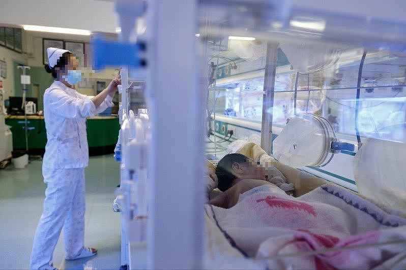 特朗普打击生育旅游，绿卡华人反而回中国生娃（图） - 1
