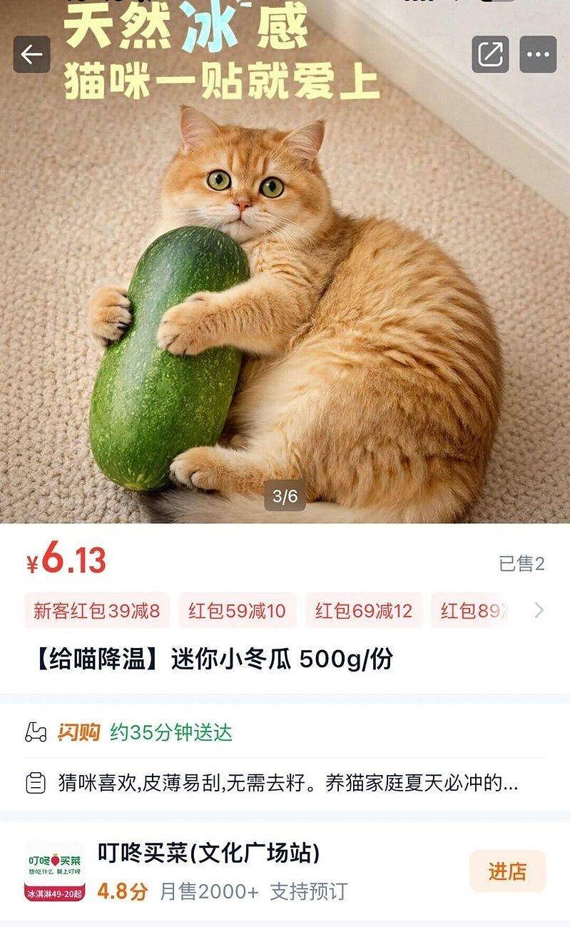 萌宠“抱冬瓜”降温走红，生鲜平台卖到缺货，兽医这么说… - 3