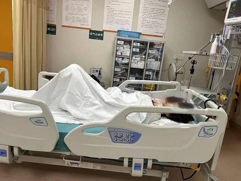举报虐猫遭“开盒”造黄谣！上海志愿者轻生被救，家属坚决维权 - 1