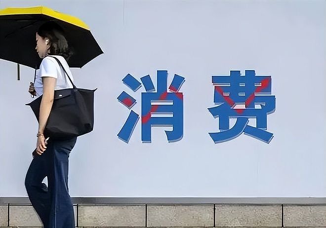 两大“毒瘤”不除，中国老百姓的钱都被吸走了！谁还敢消费？ - 8