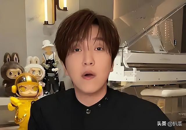 落毛凤凰不如鸡？这4位“毫无底线”的网红，没一个值得同情 - 12