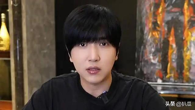 落毛凤凰不如鸡？这4位“毫无底线”的网红，没一个值得同情 - 13