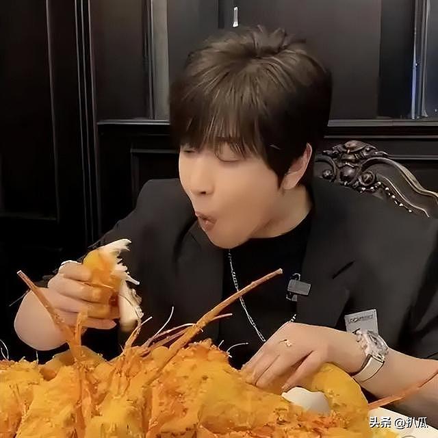 落毛凤凰不如鸡？这4位“毫无底线”的网红，没一个值得同情 - 16