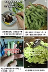 男子吃生豆角3天瘦8斤？医生：是中毒 ....
