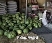 提亲时一句玩笑，婆家霸气送来自种“5吨西瓜”，宁夏女子被狠狠打动