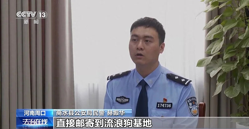 250万善款仅3千元用于救助，起底流浪动物救助骗局（组图） - 1