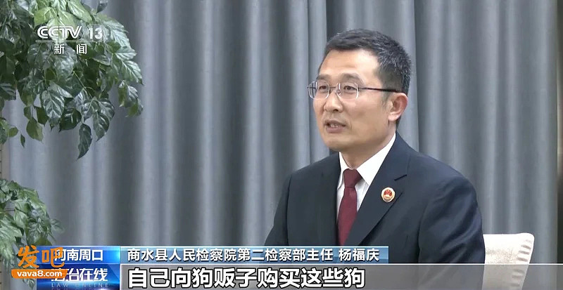 250万善款仅3千元用于救助，起底流浪动物救助骗局（组图） - 6