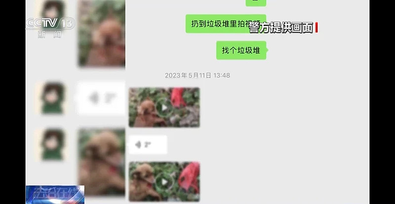 250万善款仅3千元用于救助，起底流浪动物救助骗局（组图） - 7