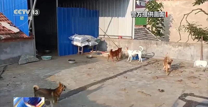250万善款仅3千元用于救助，起底流浪动物救助骗局（组图） - 10