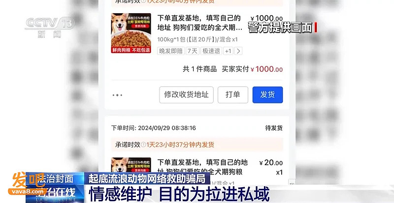 250万善款仅3千元用于救助，起底流浪动物救助骗局（组图） - 11