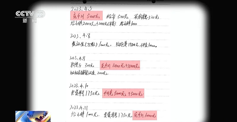250万善款仅3千元用于救助，起底流浪动物救助骗局（组图） - 16
