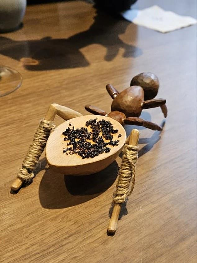 米其林餐厅用4.9万只蚂蚁做菜！澳洲大厨恐面临1年监禁（组图） - 2