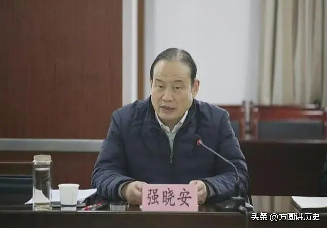 陕西“秃头”副市长强小安：为了植发大肆敛财7000多万元！ - 4