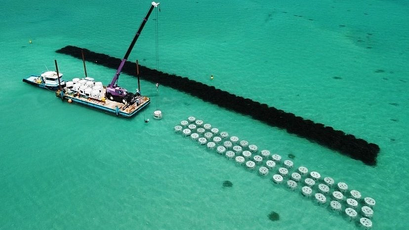 珀斯热门海滩或全面禁钓!引发巨大争议!(图) - 1
