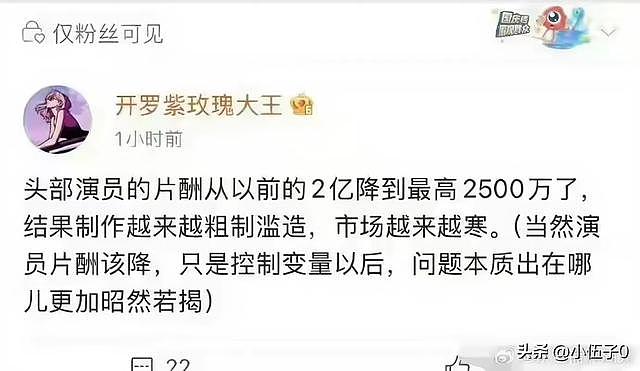 2亿降至2500万!中国演员片酬暴跌近九成,网友吐槽:还是离谱(组图) - 4
