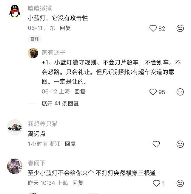 开了这盏小蓝灯，“我就成了马路鄙视链最底端” - 7