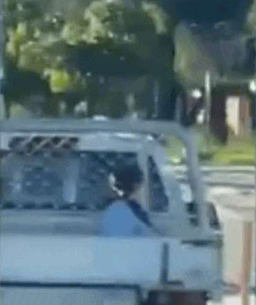 珀斯街头惊险一幕，10岁孩子竟坐皮卡后斗，路过司机怒斥“太荒唐”（GIF） - 1