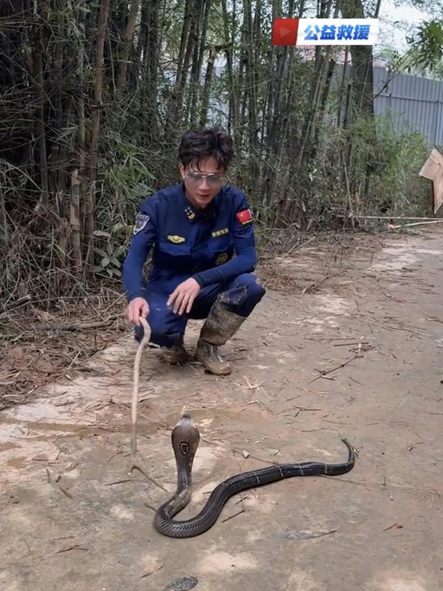 福建救援员两度驰援广西灾区，日均徒手捕获20条毒蛇 - 2