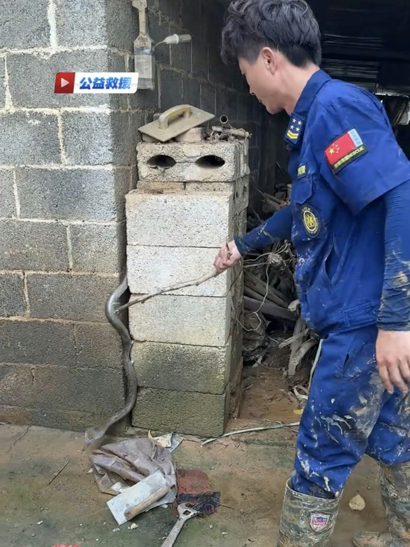 福建救援员两度驰援广西灾区，日均徒手捕获20条毒蛇 - 4