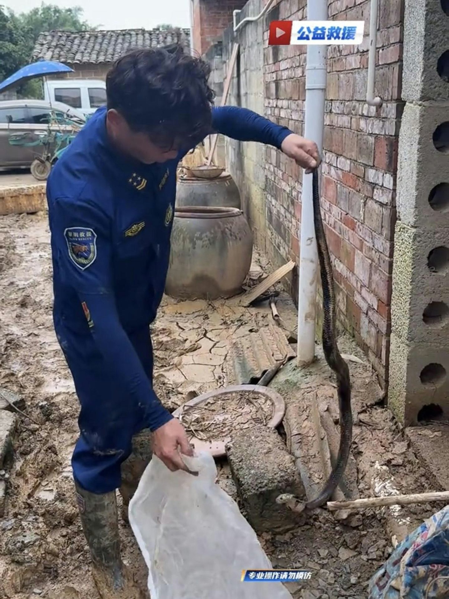 福建救援员两度驰援广西灾区，日均徒手捕获20条毒蛇 - 6