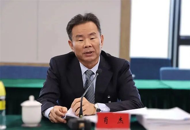 连打三虎，中央纪委国家监委：肖杰、顾军被开除党籍，韩嵩被“双开” - 2