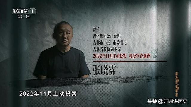 落马市长张晓霈:2023年主动投案,退休4年,被落马同事吓到失眠 - 8