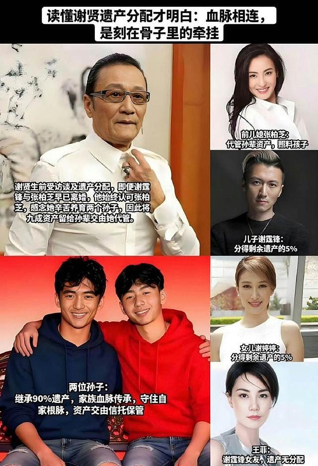 遗嘱反转仅1天!张柏芝表态,原来她们母子早被谢贤安排好了退路 - 12