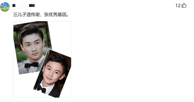 遗嘱反转仅1天!张柏芝表态,原来她们母子早被谢贤安排好了退路 - 13