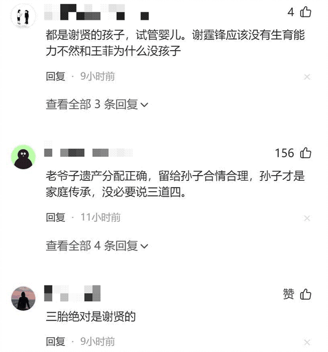 遗嘱反转仅1天!张柏芝表态,原来她们母子早被谢贤安排好了退路 - 15