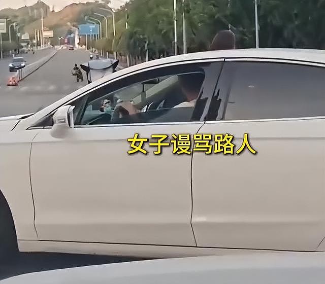 女子加塞吐口水后续，夫妻双双受处罚仅开胃菜，更严重的还在后面 - 27