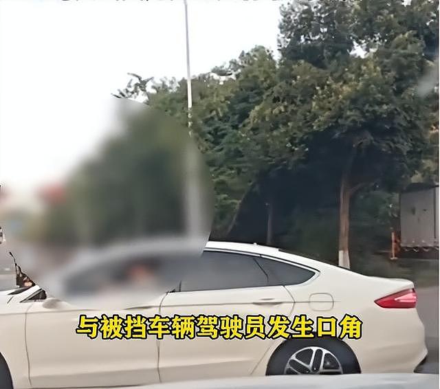 女子加塞吐口水后续，夫妻双双受处罚仅开胃菜，更严重的还在后面 - 31