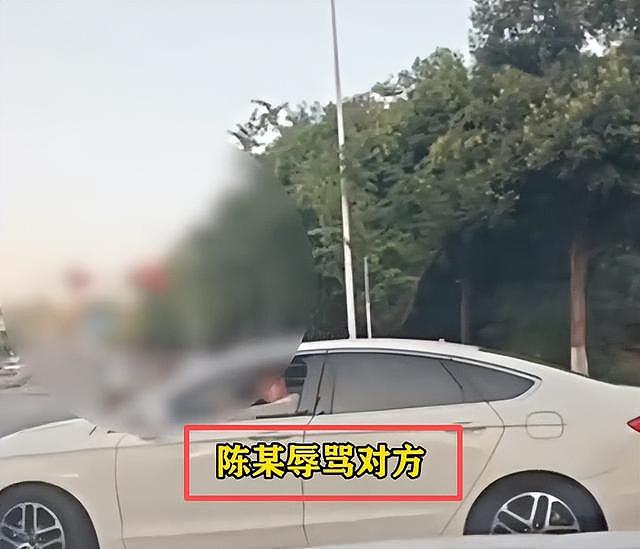 女子加塞吐口水后续，夫妻双双受处罚仅开胃菜，更严重的还在后面 - 35