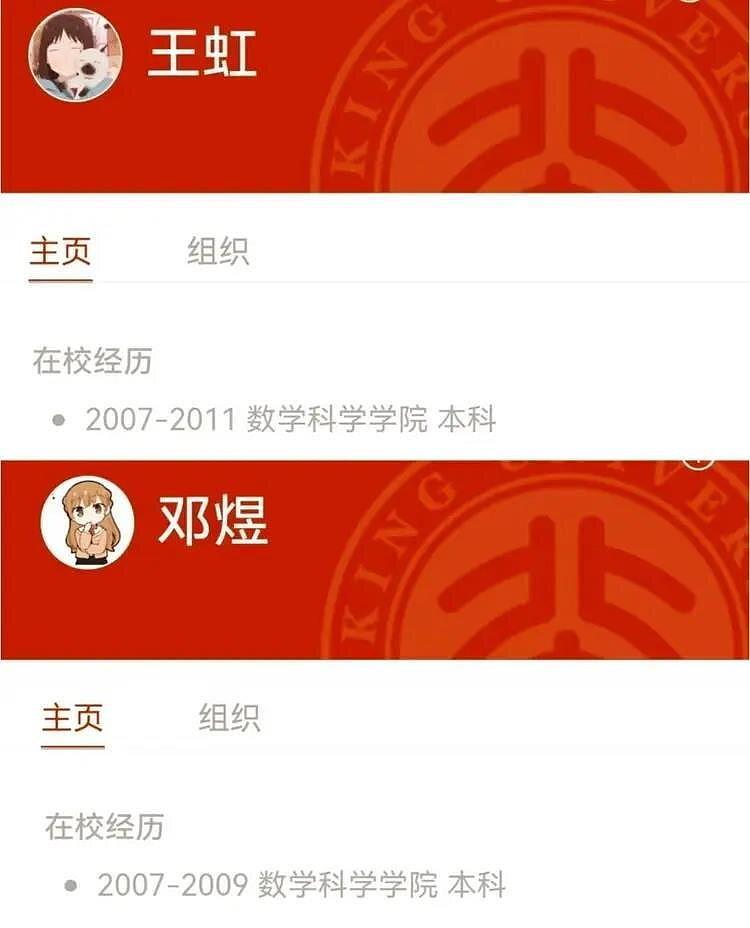 中国籍数学菲尔兹奖得主是“二次元”,得奖时正在看恋爱小说 - 2