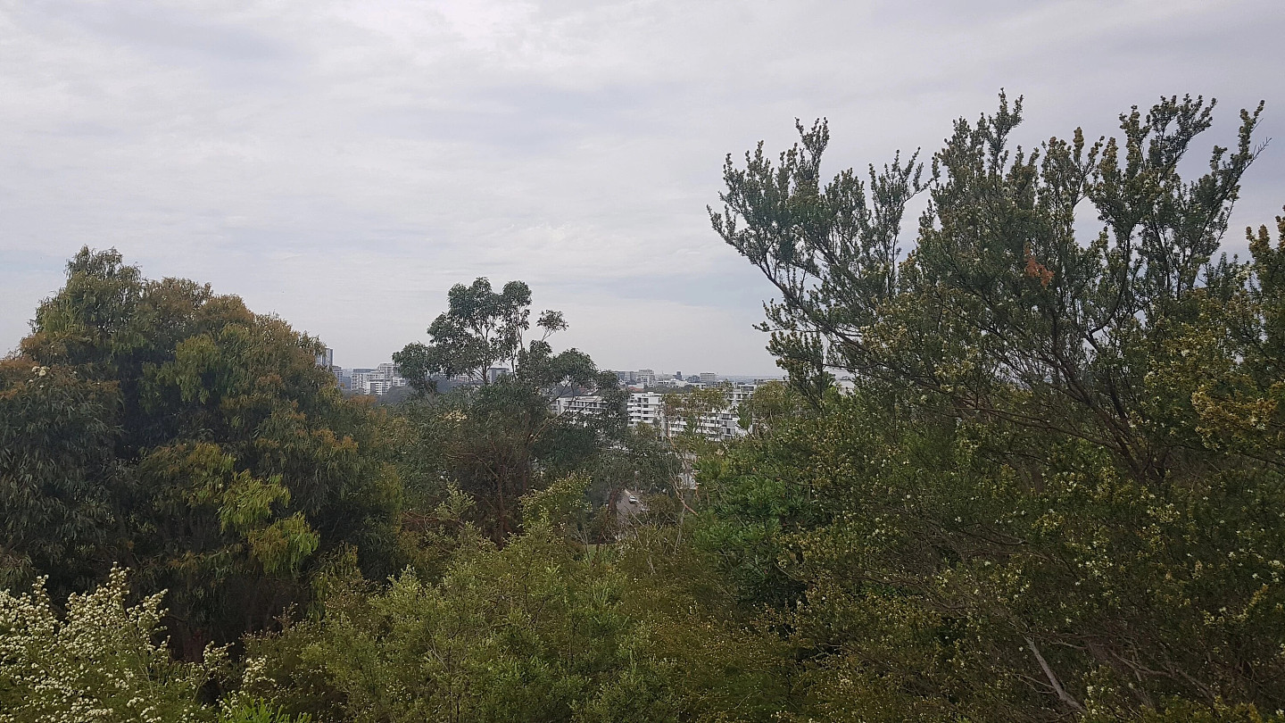 澳洲十大最美跑步路线揭晓！悉尼Wolli Creek步道满分登顶（组图） - 2