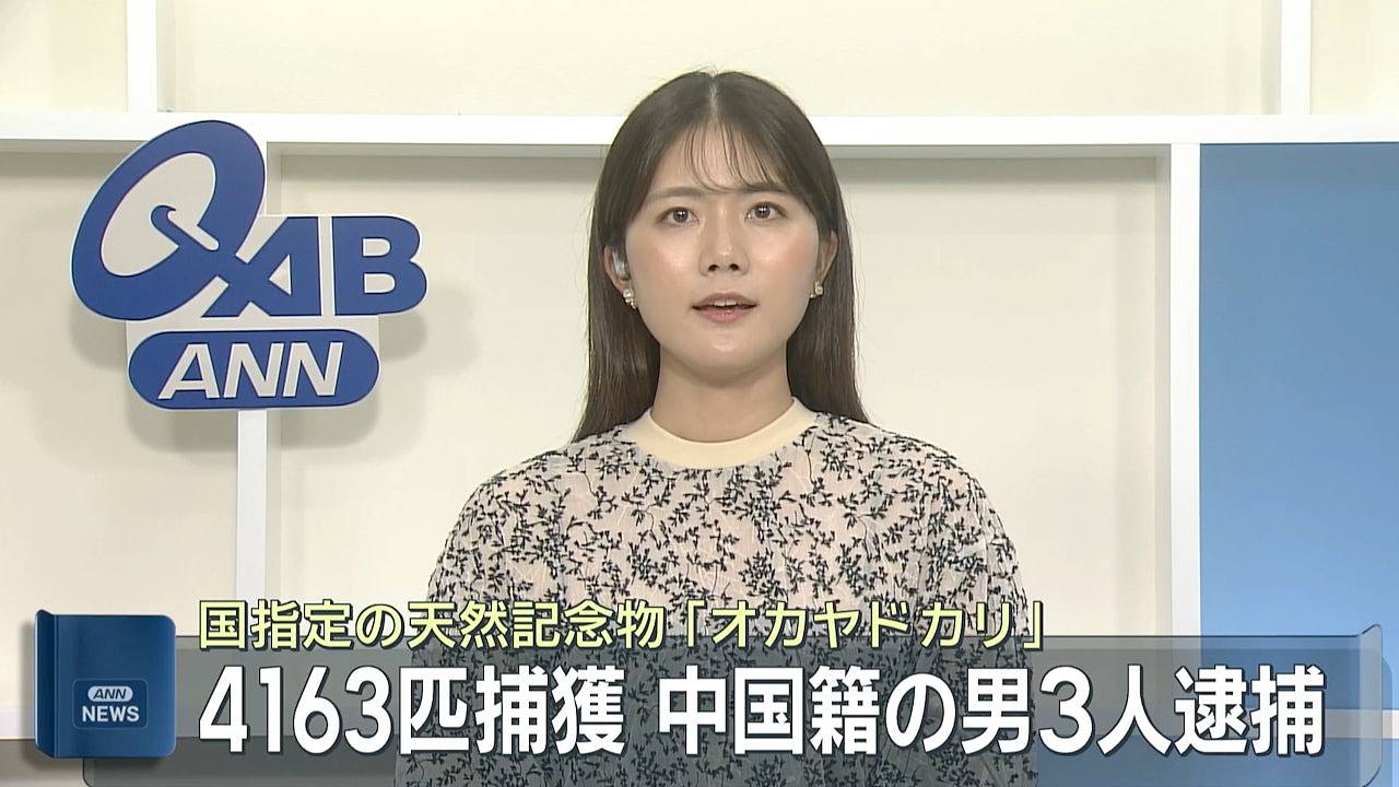 3名中国籍男子涉走私4163只冲绳寄居蟹被捕,疑犯称不知包裹内容 - 1